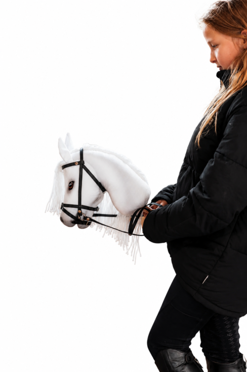 Hobby Horses