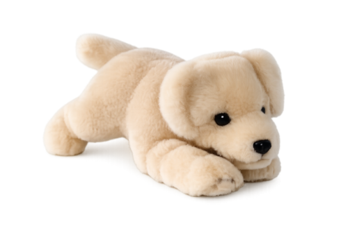 Golden Retriever pup 29 cm