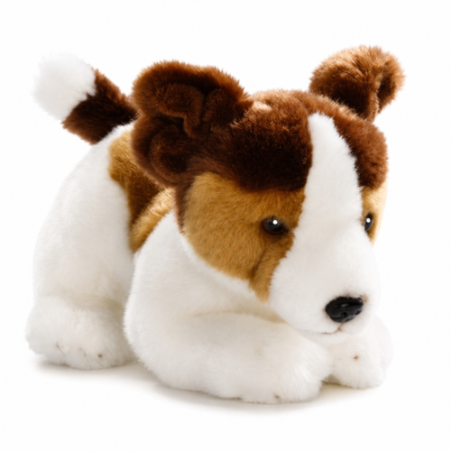 Jack Russel 23 cm
