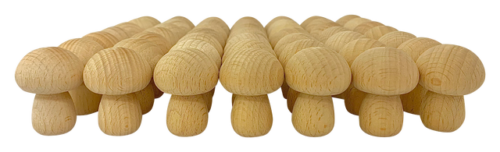 Mini Naturel Paddenstoel / 49 stuks