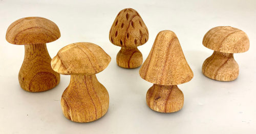 Paddenstoelen Met de hand gesneden / 5 stuks