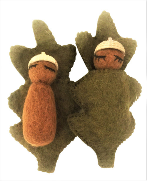Eikelbaby's naturel / 6-delig