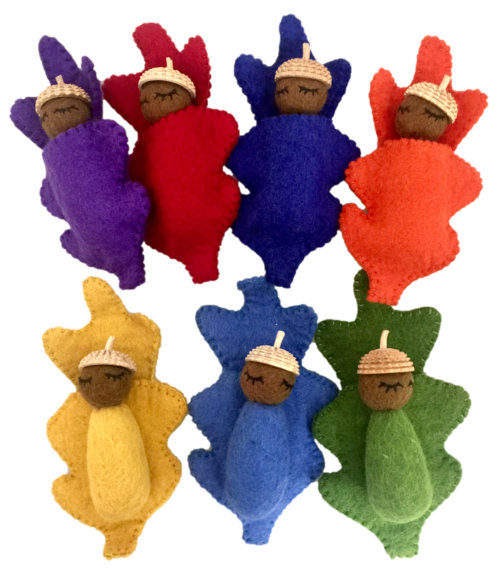 Regenboog eikelbaby's / 7-delig