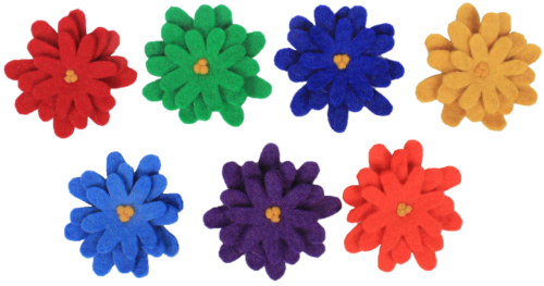 Regenboog Asters/7pc