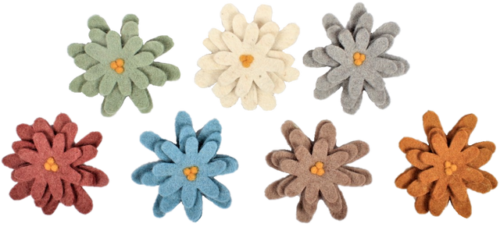 Aardetinten Asters / 7 stuks
