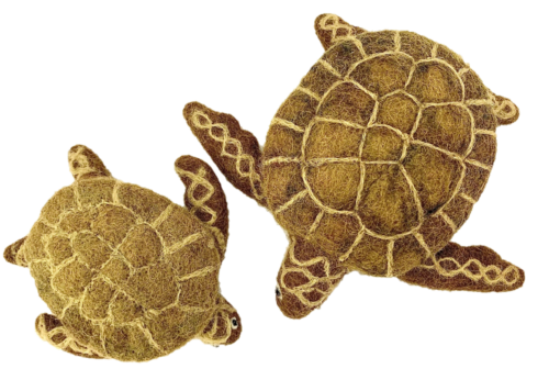 Bruin Schildpadden / 2 stuks