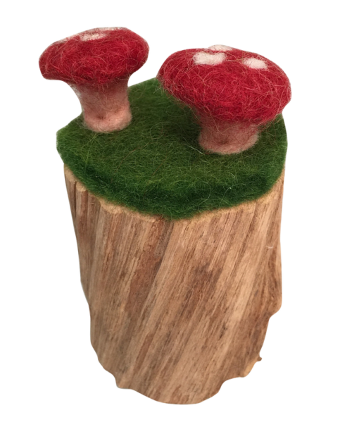 Vliegenzwam Trunk Set/3 Rood
