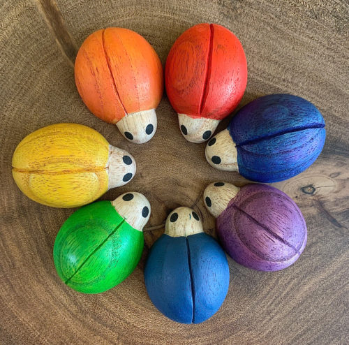 Regenboog Lieveheersbeestjes / 7 stuks