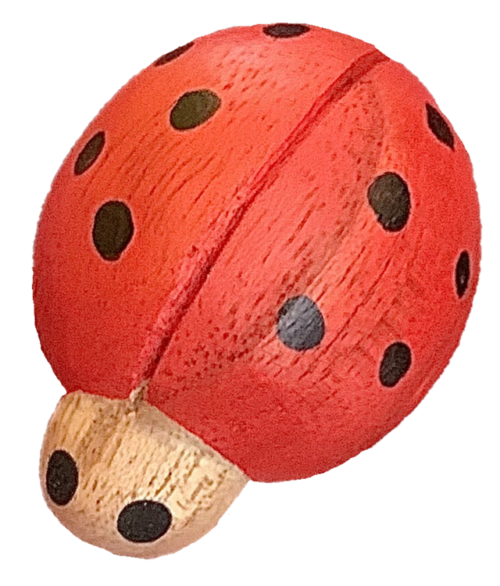 Rood Lieveheersbeestjes / 7 stuks