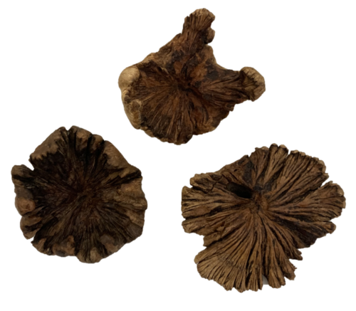 Houten roos Klein / 3 stuks