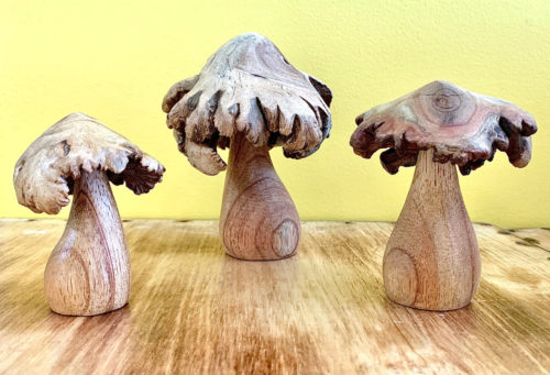 Houten roos Paddenstoelen / 3 stuks