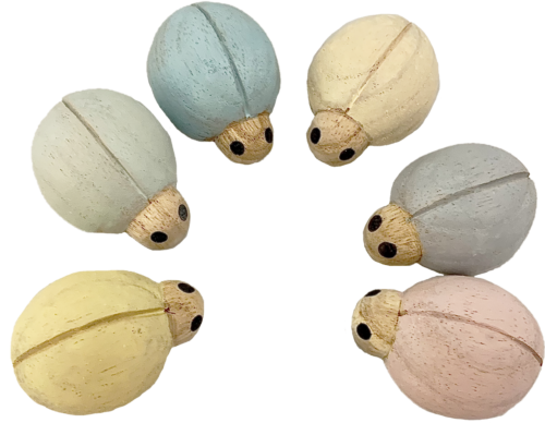Pastelkleurige Lieveheersbeestjes / 6 stuks