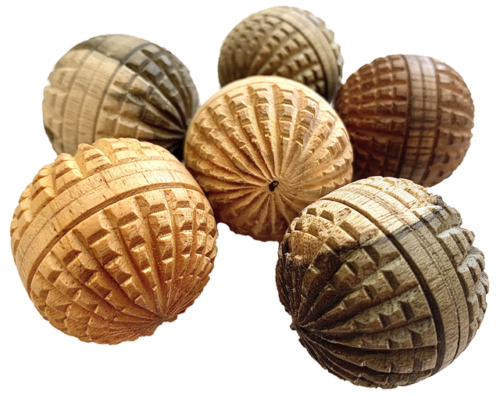 Mini houten Eikelballen / 6 stuks