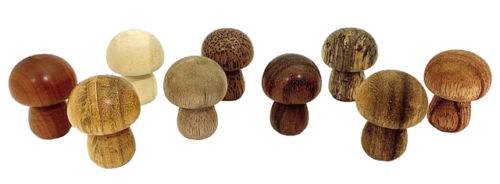 Mini houten Paddenstoelen / 9 stuks