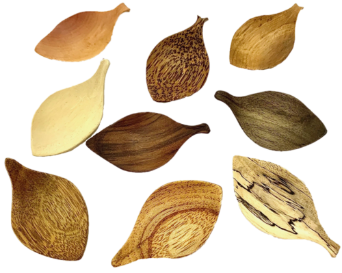Mini houten Blad Schaaltjes / 9 stuks